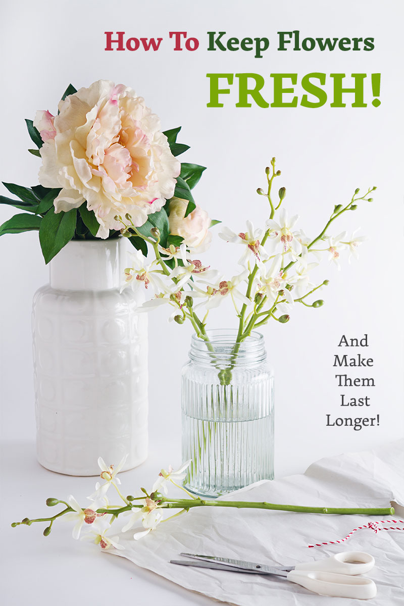 How to Keep Dried Baby's Breath White | Hunker